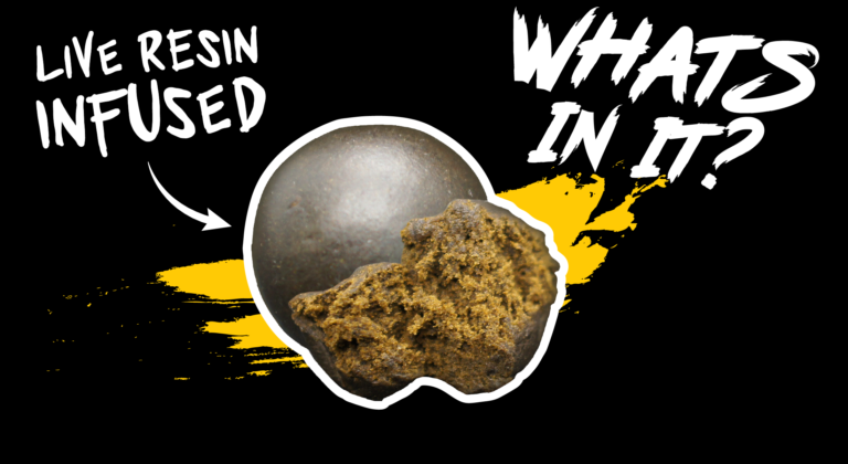 GREAZY Afghan Black Hash - What's In It?